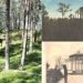 paslaptingieji-raganu-kalnai-juodkranteje:-mistines-butybes-ir-pagonybes-pedsakai
