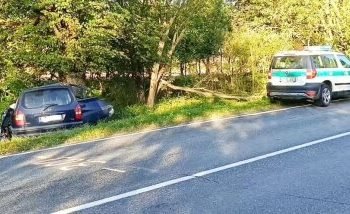 kelyje-jonava–kedainiai–seduva-automobilis-rezesi-i-medi:-metalo-gniauztuose-ikalintas-vairuotojas