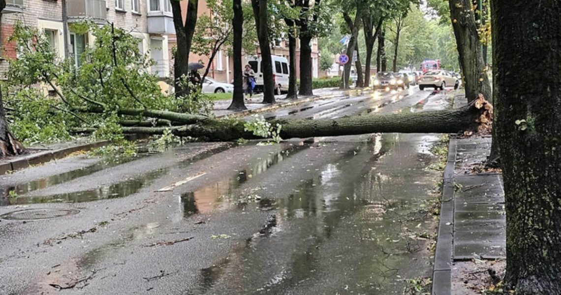 stichija-pagasdino,-bet-rimtesniu-eibiu-neprikrete