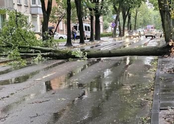 stichija-pagasdino,-bet-rimtesniu-eibiu-neprikrete
