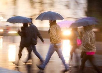 ruduo-i-sali-grizta-su-trenksmu:-merks-lietus,-o-medziu-stipruma-tikrins-galingi-vejai