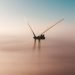 europos-komisija pristate europos-vejo-energetikos-veiksmu-plana