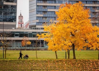 paroda-po-vilniaus-istorijos-uzkaborius-–-eksponatu-amzius-siekia-ir-16-a-amziu