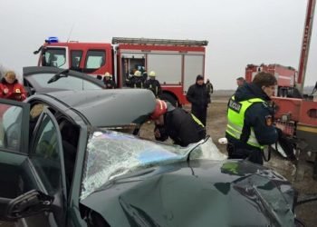 tragiska-avarija-siauliu-rajone:-po-automobilio-smugio-i-medi-zuvo-devyniolikmetis