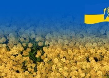 lietuva-skiria-2-milijonus-euru-ukrainai-socialiniu-karo-padariniu-sprendimui