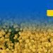 lietuva-skiria-2-milijonus-euru-ukrainai-socialiniu-karo-padariniu-sprendimui