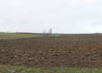 savivaldybe-„netupcios-vietoje“:-„menu-mieste“-nori-rasti-vietos-ir-„kaminams“