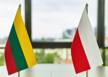 premjere-pasveikino-naujaji-lenkijos-vyriausybes-vadova-donalda-tuska
