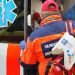 po-greitosios-pagalbos-mediku-vakarelio-bresta-rimtas-skandalas:-zmogus-sunkiai-suzeistas,-bet-kaip-–-misle