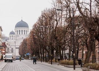 kaune-miesto-lesomis-bus-tvarkoma-renovuotu-daugiabuciu-aplinka