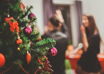 v.-janulevicius:-kodel-ne-tik-per-kaledas-vertetu-galvoti-apie-seima?