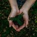 „philip-morris-international“-uzeme-pirma-vieta-„forbes“-sudarytame-„net-zero“-reitinge- 