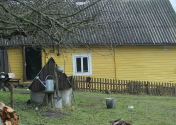 regina-musneckiene:-kaip-demografijai-pasitarnauja-kunigai-ir-nebinarines-lytys?