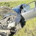 netoli-vievio-–-skaudi-eismo-nelaime:-apvirto-du-automobiliai,-suzaloti-penki-zmones