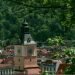 isvyk-i-rumunija