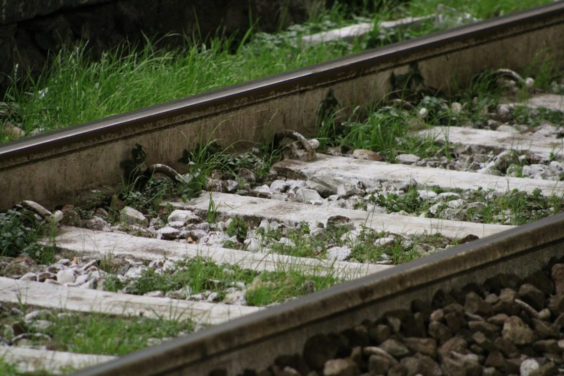 v-janulevicius.-ecb-sprendimu-belaukiant-traukinys-gali-nuvaziuoti