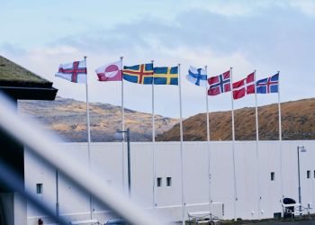 siaures-ir-baltijos-saliu-jaunimo-susitikimas-vilniuje