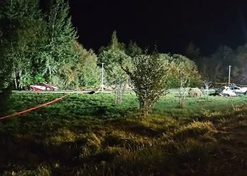 ralio-tragedijos-liudininkas:-eidamas-ne-neitariau,-kad-atsitiko-baisi-nelaime
