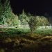 ralio-tragedijos-liudininkas:-eidamas-ne-neitariau,-kad-atsitiko-baisi-nelaime
