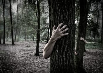 v-janulevicius.-migrantai-lietuvoje:-kodel-matome-demonus,-o-ne-nauda