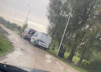 skaudi-statistika:-per-para-–-9-mirtys