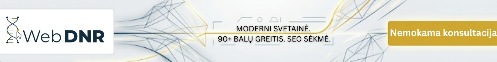 WebDNR.lt