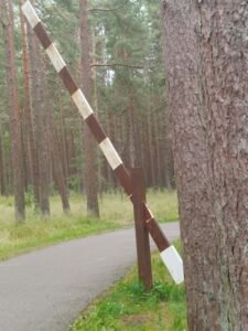 Nacionaliniame Vienybės žygyje – daugiau kaip 3000 žygeivių