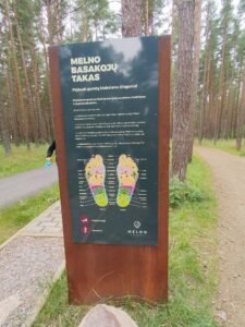Basakoju takas