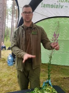 Miškininkas Simas pasakoja apie siauralapį gaurometį