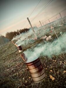 Mikalajūnų vynuogyne puoselėjamos ekologinio ūkininkavimo tradicijos.